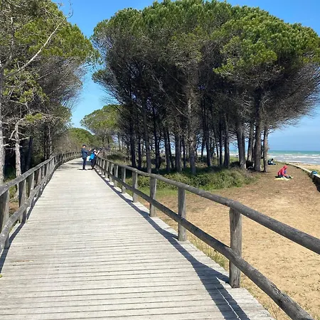 Close To The Sea And The -